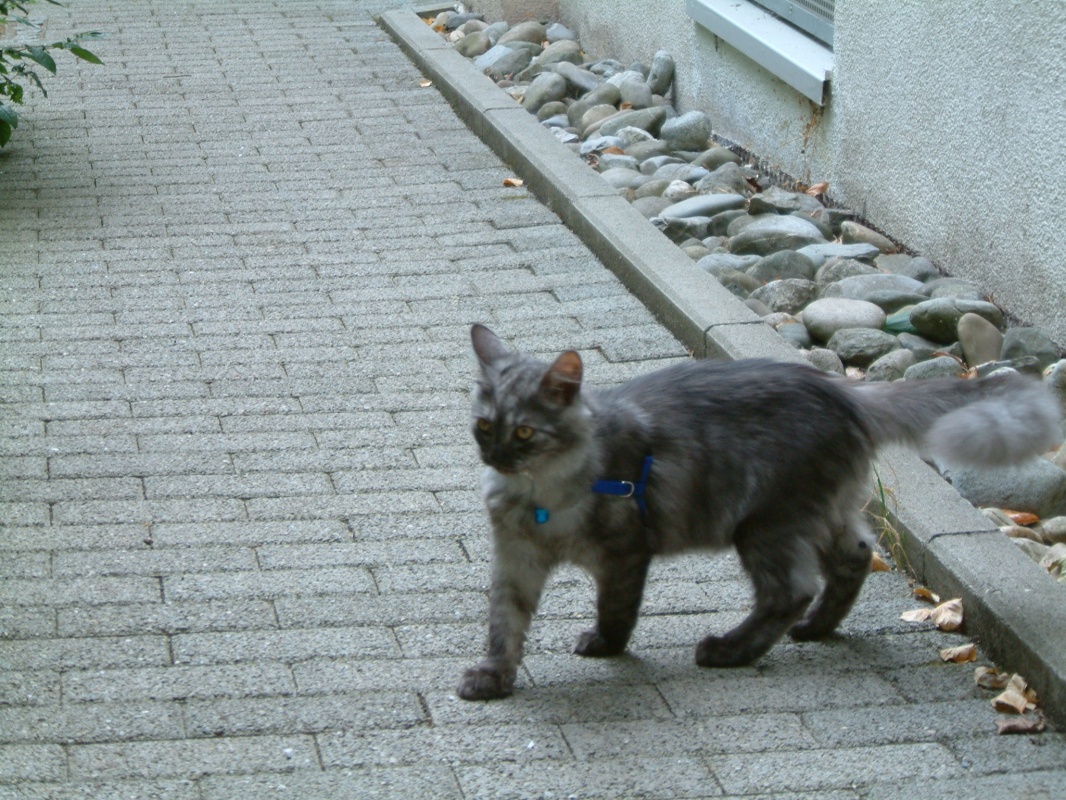 dscf0047